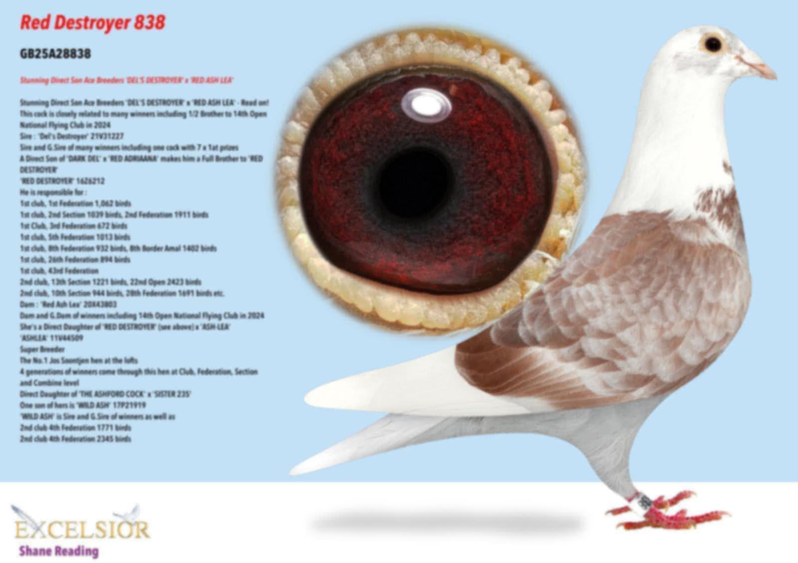 Bird Evidence
