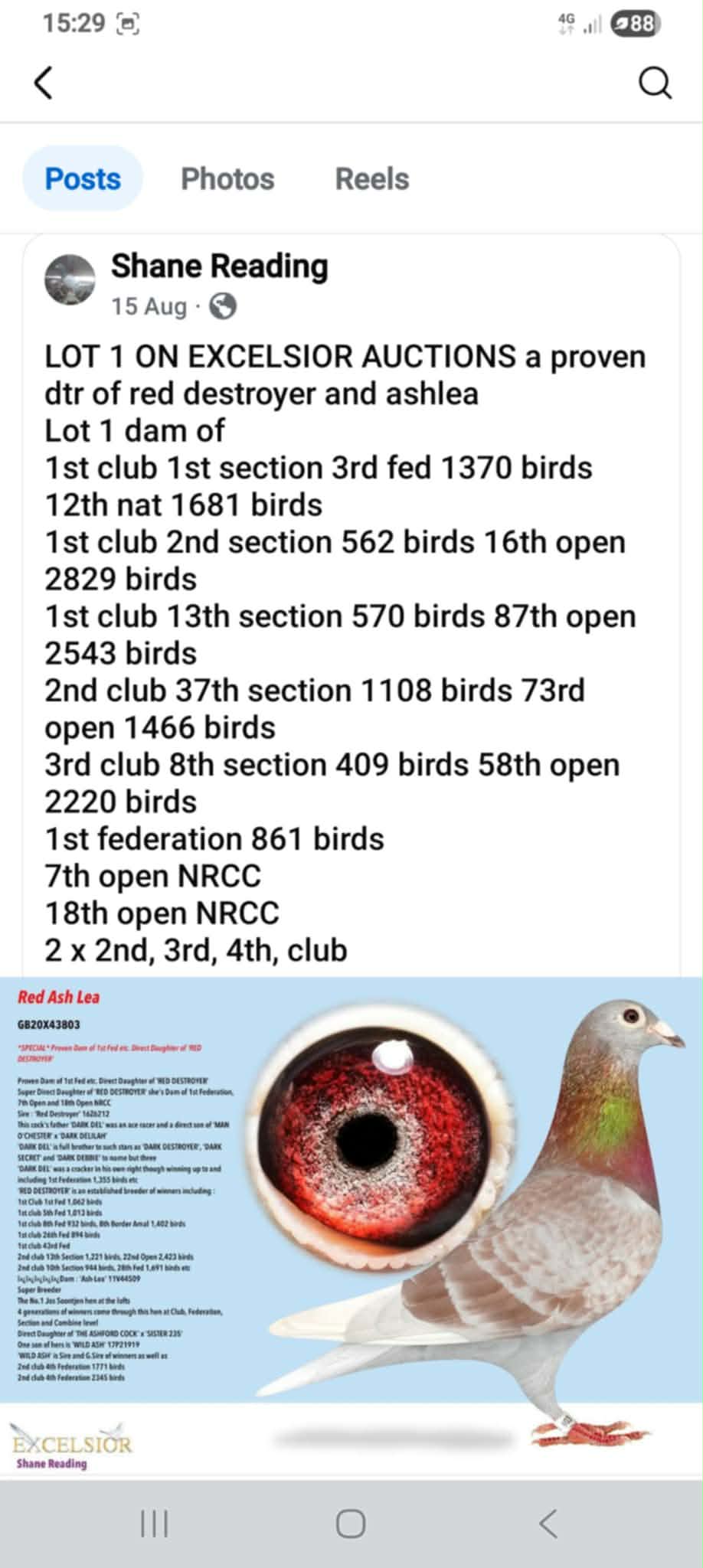 Bird Evidence