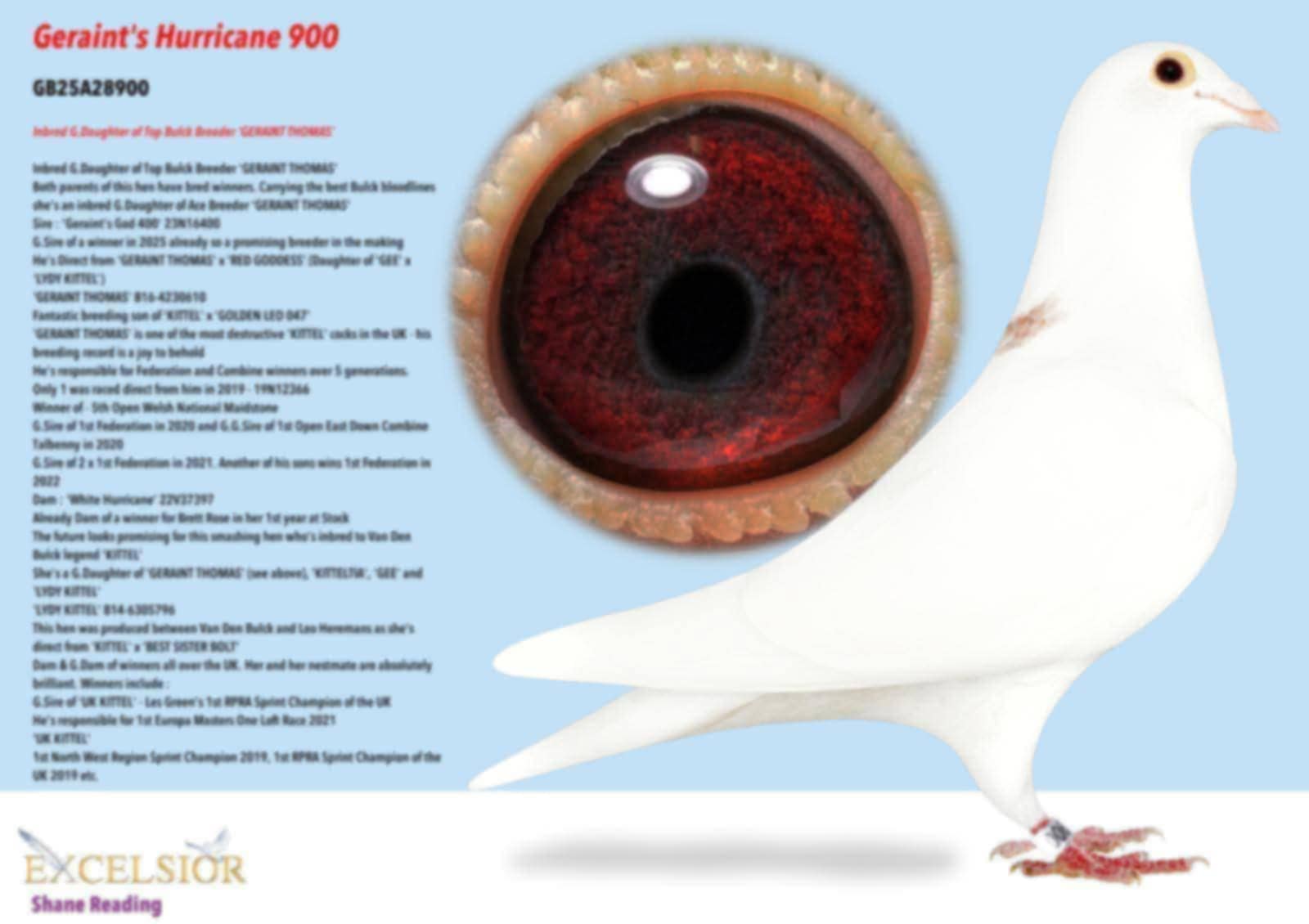 Bird Evidence