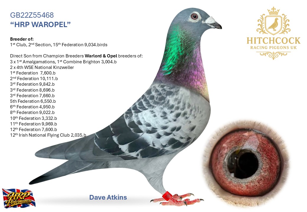 Bird Evidence