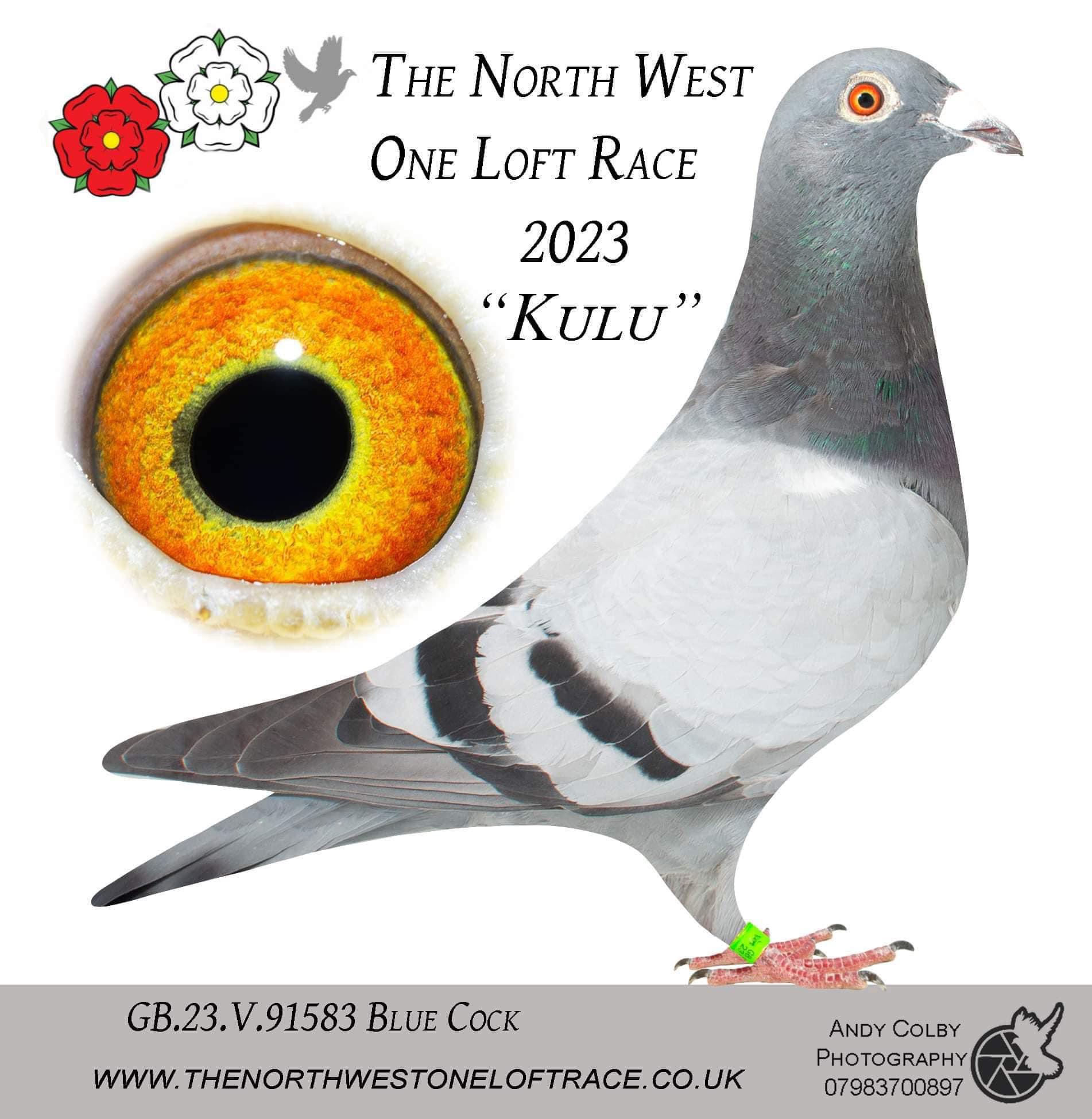 Bird Evidence
