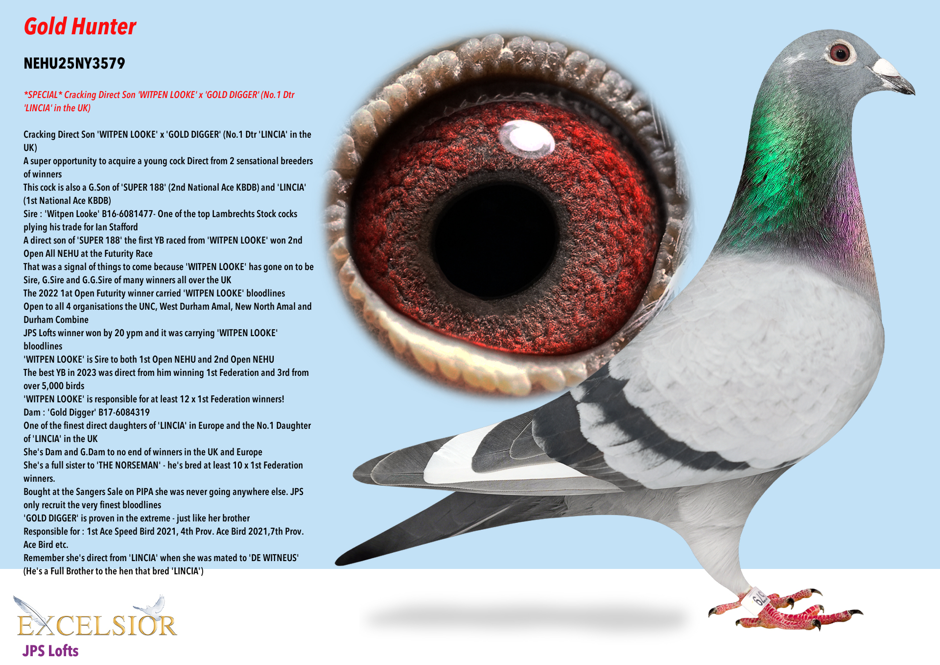Bird Evidence