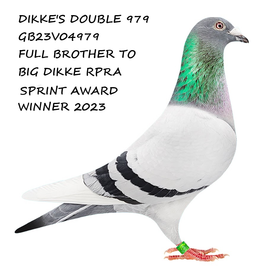 Bird Evidence